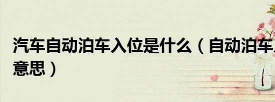 汽车自动泊车入位是什么（自动泊车入位什么意思）