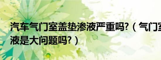 汽车气门室盖垫渗液严重吗?（气门室盖垫渗液是大问题吗?）
