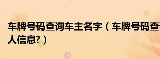 车牌号码查询车主名字（车牌号码查询车主个人信息?）