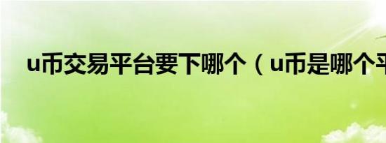 u币交易平台要下哪个（u币是哪个平台）