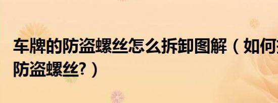 车牌的防盗螺丝怎么拆卸图解（如何拆装车牌防盗螺丝?）