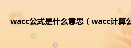 wacc公式是什么意思（wacc计算公式）