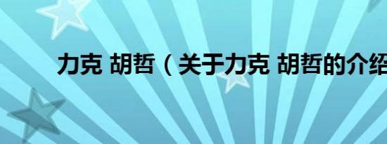 力克 胡哲（关于力克 胡哲的介绍）