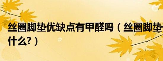 丝圈脚垫优缺点有甲醛吗（丝圈脚垫优缺点是什么?）