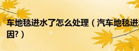 车地毯进水了怎么处理（汽车地毯进水什么原因?）