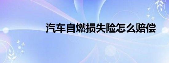 汽车自燃损失险怎么赔偿