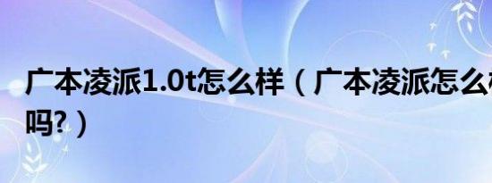 广本凌派1.0t怎么样（广本凌派怎么样值得买吗?）