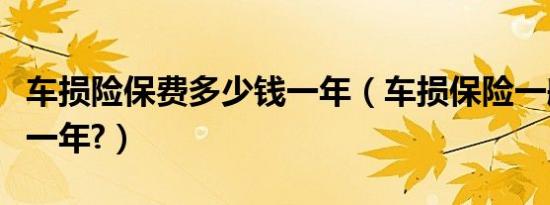 车损险保费多少钱一年（车损保险一般多少钱一年?）