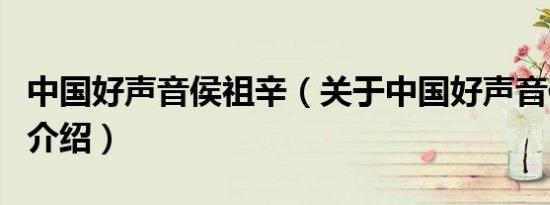 中国好声音侯祖辛（关于中国好声音侯祖辛的介绍）