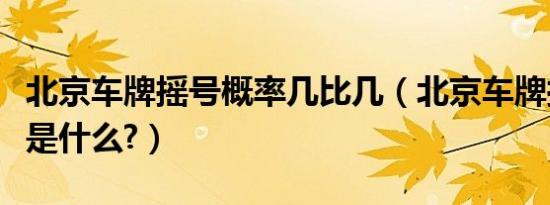 北京车牌摇号概率几比几（北京车牌摇号概率是什么?）