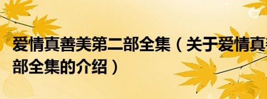 爱情真善美第二部全集（关于爱情真善美第二部全集的介绍）