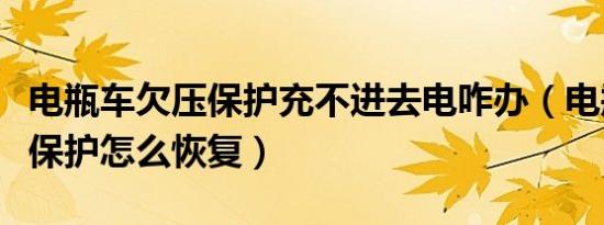 电瓶车欠压保护充不进去电咋办（电瓶车欠压保护怎么恢复）