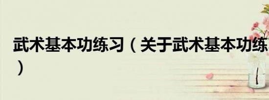 武术基本功练习（关于武术基本功练习的介绍）