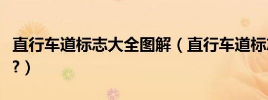 直行车道标志大全图解（直行车道标志怎么看?）