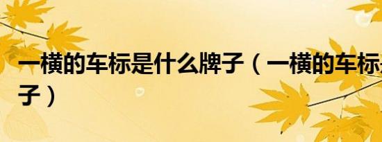 一横的车标是什么牌子（一横的车标是什么牌子）