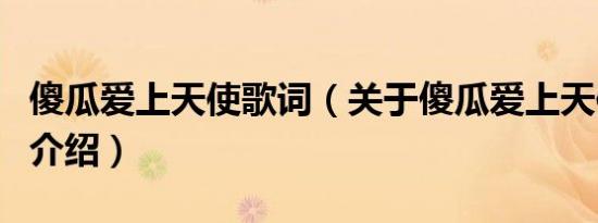 傻瓜爱上天使歌词（关于傻瓜爱上天使歌词的介绍）