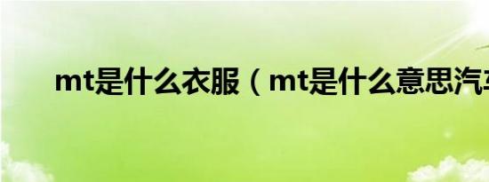 mt是什么衣服（mt是什么意思汽车）