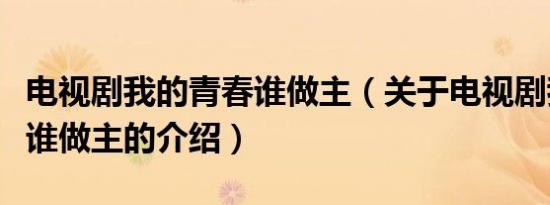 电视剧我的青春谁做主（关于电视剧我的青春谁做主的介绍）