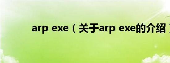 arp exe（关于arp exe的介绍）