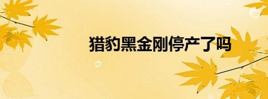 猎豹黑金刚停产了吗