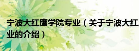 宁波大红鹰学院专业（关于宁波大红鹰学院专业的介绍）