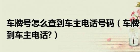 车牌号怎么查到车主电话号码（车牌号如何查到车主电话?）
