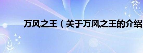 万风之王（关于万风之王的介绍）