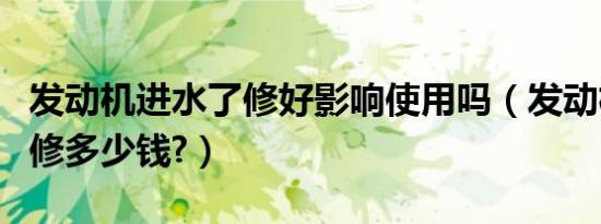 发动机进水了修好影响使用吗（发动机进水了修多少钱?）