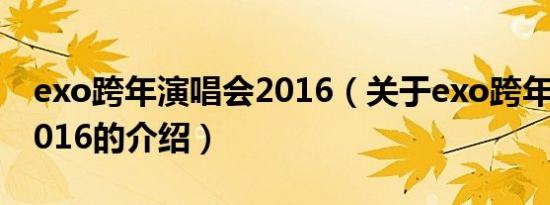 exo跨年演唱会2016（关于exo跨年演唱会2016的介绍）