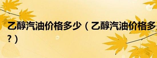乙醇汽油价格多少（乙醇汽油价格多少钱一升?）