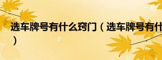 选车牌号有什么窍门（选车牌号有什么技巧?）