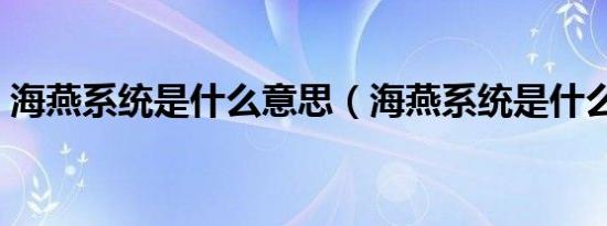 海燕系统是什么意思（海燕系统是什么意思）
