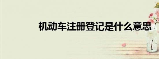 机动车注册登记是什么意思