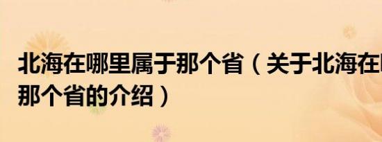北海在哪里属于那个省（关于北海在哪里属于那个省的介绍）