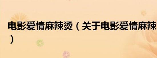 电影爱情麻辣烫（关于电影爱情麻辣烫的介绍）