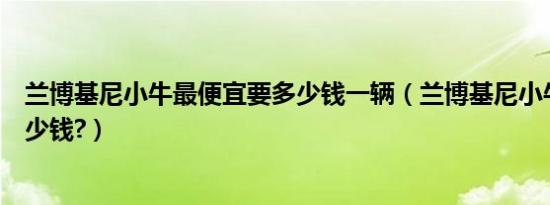 兰博基尼小牛最便宜要多少钱一辆（兰博基尼小牛最便宜多少钱?）