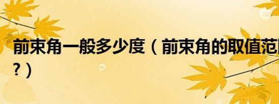 前束角一般多少度（前束角的取值范围是多少?）
