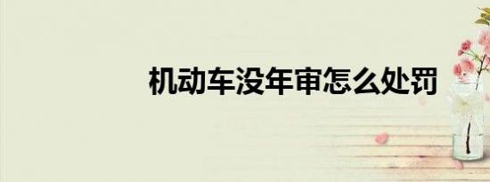 机动车没年审怎么处罚