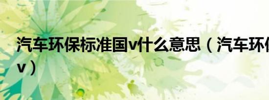 汽车环保标准国v什么意思（汽车环保标志国v）