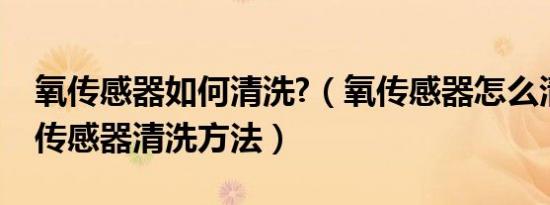 氧传感器如何清洗?（氧传感器怎么清洗？氧传感器清洗方法）