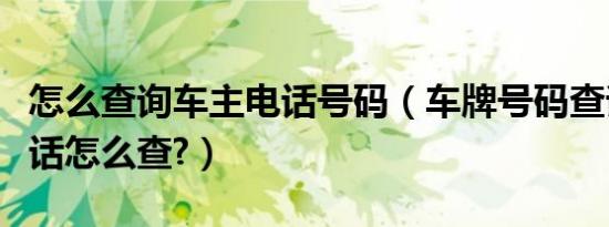 怎么查询车主电话号码（车牌号码查询车主电话怎么查?）