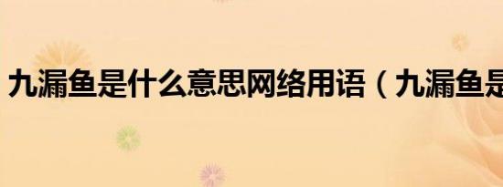 九漏鱼是什么意思网络用语（九漏鱼是什么）