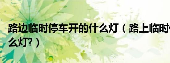 路边临时停车开的什么灯（路上临时停车开什么灯?）