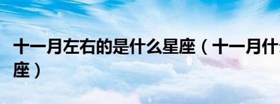 十一月左右的是什么星座（十一月什么星座星座）