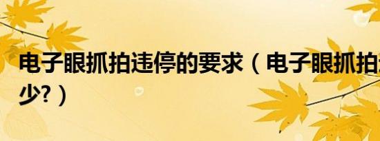 电子眼抓拍违停的要求（电子眼抓拍违停罚多少?）