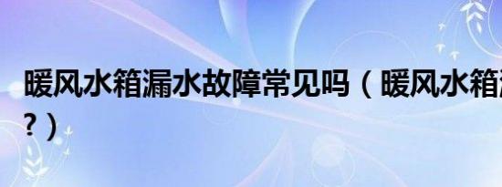 暖风水箱漏水故障常见吗（暖风水箱漏水症状?）