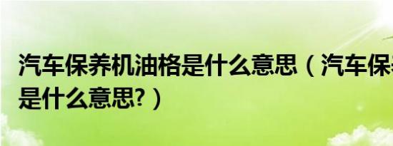 汽车保养机油格是什么意思（汽车保养机油格是什么意思?）