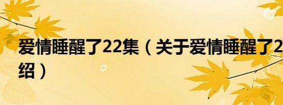 爱情睡醒了22集（关于爱情睡醒了22集的介绍）