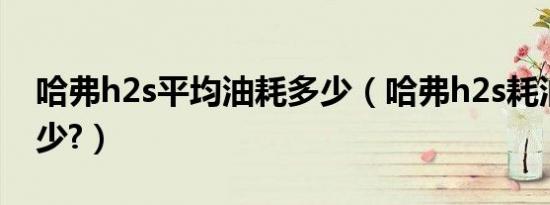 哈弗h2s平均油耗多少（哈弗h2s耗油量是多少?）