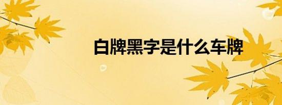 白牌黑字是什么车牌